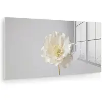 MuchoWow Glasschilderij 120x60 cm - Schilderij acrylglas - Bloem - Minimalistisch -Wit - Foto op glas - Muurdecoratie woonkamer - Wanddecoratie slaapkamer - Schilderijen