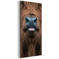 MuchoWow Aluminium schilderij 40x80 cm - Wanddecoratie metaal - Schotse hooglander - Neus - Bruin - Metalen muurdecoratie woonkamer - Decoratie industrieel - Foto op dibond - Industriële accessoires slaapkamer
