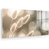 MuchoWow Glasschilderij 80x40 cm - Schilderij acrylglas - Hazestaartgras - Wit - Zonlicht - Foto op glas - Muurdecoratie woonkamer - Wanddecoratie slaapkamer - Schilderijen