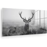 MuchoWow Glasschilderij 80x40 cm - Schilderij acrylglas - Hert - Mistig - Zwart - Wit - Foto op glas - Muurdecoratie woonkamer - Wanddecoratie slaapkamer - Schilderijen