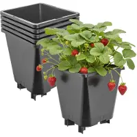 Garronda Set van 5 kunststof bloempotten met poten voor aardbeien en frambozen (Zwart, 19,5 x 19,5 x 21 cm – 5 L) GD-KW-F