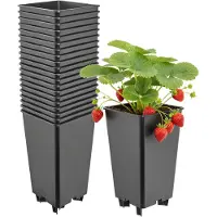 Garronda Set van 20 kunststof bloempotten met poten voor aardbeien en frambozen (Zwart, 12 x 12 x 21 cm – 2 L) GD-KW-F