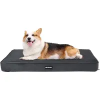 OEM Orthopedisch hondenbed, 9 cm dik, medium formaat, met afneembare en wasbare hoes, donkergrijs