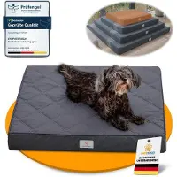 OEM Orthopedisch hondenbed, waterdicht, antislip, 70x60x8 cm