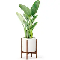 OEM Standaard plantenstandaard van kersenwood. Geen keramische plantenpot. Wit, modern design. Geschikt voor potten van 30 cm (12 inch). Gemaakt van acaciahout