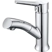 OEM Wanddouche met uittrekbare douchekop, geschikt voor badkamer en keuken