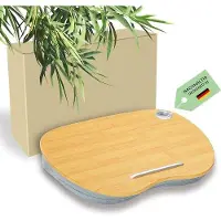 OEM Ergonomische laptoptafel met kussen