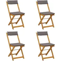 vidaXL Bistrostoelen voor buiten 4 st Donkergrijs