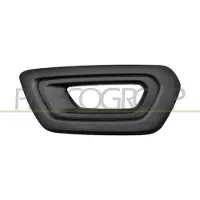 PRASCO FD9502134 Ventilatiegrille, bumper