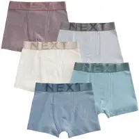 Next Onderbroek turquoise / duifblauw / lichtgrijs / mauve / offwhite