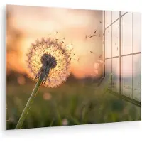 MuchoWow Glasschilderij 80x60 cm - Schilderij acrylglas - Paardenbloem - Zonsondergang - Veld - Foto op glas - Muurdecoratie woonkamer - Wanddecoratie slaapkamer - Schilderijen