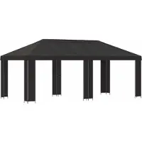 vidaXL Tuinpaviljoen 6 x 3 m Antracietkleurig Polyester en Staal