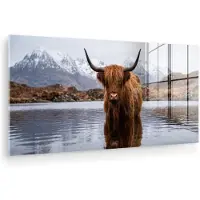 MuchoWow Glasschilderij 80x40 cm - Schilderij acrylglas - Schotse hooglander - Bruin - Water - Foto op glas - Muurdecoratie woonkamer - Wanddecoratie slaapkamer - Schilderijen