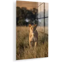 MuchoWow Glasschilderij 60x90 cm - Schilderij acrylglas - Leeuwin - Gras - Geel - Foto op glas - Muurdecoratie woonkamer - Wanddecoratie slaapkamer - Schilderijen
