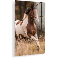 MuchoWow Glasschilderij 40x60 cm - Schilderij acrylglas - Paard - Bruin - Gras - Foto op glas - Muurdecoratie woonkamer - Wanddecoratie slaapkamer - Schilderijen