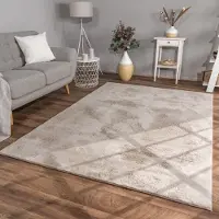 TT Home Woonkamer hoogpolig tapijt imitatiebont moderne effen kleuren pluizig zacht