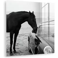 MuchoWow Glasschilderij 20x20 cm - Schilderij acrylglas - Paard - Auto - Zwart - Wit - Foto op glas - Muurdecoratie woonkamer - Wanddecoratie slaapkamer - Schilderijen