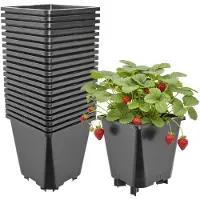 Garronda Set van 20 kunststof bloempotten met poten voor aardbeien en frambozen (Zwart, 19,5 x 19,5 x 21 cm – 5 L) GD-KW-F