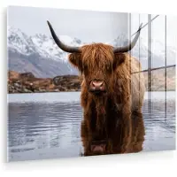 MuchoWow Glasschilderij 120x90 cm - Schilderij acrylglas - Schotse hooglander - Bruin - Water - Foto op glas - Muurdecoratie woonkamer - Wanddecoratie slaapkamer - Schilderijen