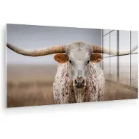 MuchoWow Glasschilderij 80x40 cm - Schilderij acrylglas - Longhorn - Grasveld - Dier - Foto op glas - Muurdecoratie woonkamer - Wanddecoratie slaapkamer - Schilderijen