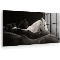 MuchoWow Glasschilderij 80x40 cm - Schilderij acrylglas - Paarden - Zwart - Wit - Kudde - Foto op glas - Muurdecoratie woonkamer - Wanddecoratie slaapkamer - Schilderijen