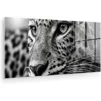 MuchoWow Glasschilderij 120x60 cm - Schilderij acrylglas - Luipaard - Zwart - Wit - Oog - Foto op glas - Muurdecoratie woonkamer - Wanddecoratie slaapkamer - Schilderijen