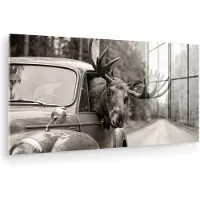 MuchoWow Glasschilderij 120x60 cm - Schilderij acrylglas - Eland - Auto - Gewei - Zwart - Wit - Foto op glas - Muurdecoratie woonkamer - Wanddecoratie slaapkamer - Schilderijen
