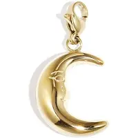 Yehwang Moon Cham | Bedel Maan | RVS (verkleurt niet) | Goudkleurig |