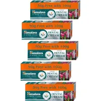 Himalaya Ayuverdic Dental Cream Neem & Pommegrenate Tandpasta - 750g - Voor een Schoon Gebit en Stralende Lach