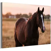 MuchoWow Aluminium schilderij 90x60 cm - Wanddecoratie metaal - Paard - Zonsondergang - Bruin - Metalen muurdecoratie woonkamer - Decoratie industrieel - Foto op dibond - Industriële accessoires slaapkamer