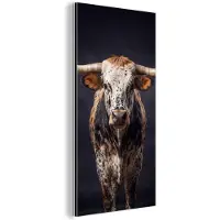 MuchoWow Aluminium schilderij 80x160 cm - Wanddecoratie metaal - Stier - Kleurrijk - Hoorns - Metalen muurdecoratie woonkamer - Decoratie industrieel - Foto op dibond - Industriële accessoires slaapkamer