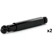 RIDEX 854S22102 Schokdemper