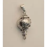 925 Sterling zilveren hanger van een schelp - zilveren hanger van een zee schelp - sierlijke zilveren vrouwen hanger zee gerelateerd - zeeleven hangertje - bedel voor aan ketting schelpje