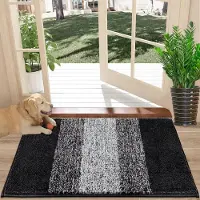 Unyqoos Absorberende en antislip deurmat voor binnen en buiten gebruik 40x60 cm