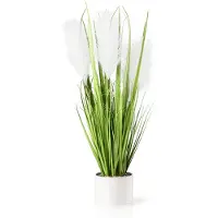 Unyqoos Decoratief kunstgras in een witte, hoogwaardige keramische pot – 56 cm hoog, gemakkelijk te onderhouden decoratief gras voor woonkamer en kantoor