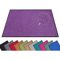 Unyqoos Weerbestendige paarse deurmat met antislip en wasbare eigenschappen voor binnen en buiten