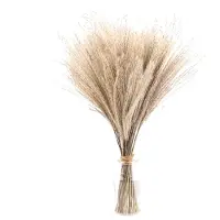 Unyqoos Set van 50 stuks gedroogd decoratief gras – 100% natuurlijk, traal siergras voor vazen, woonkamers, slaapkamers en bruiloften