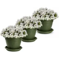 PlasticForte 3x plantenpot met opvang schaal - donkergroen - rond - D25 x H19 cm - kunststof - buiten - tuin - bloempot