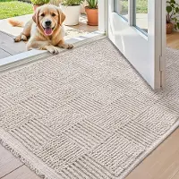 Unyqoos Wasbare en ultradunne deurmat voor binnen en buiten met antislip achterkant 50 x 80 cm