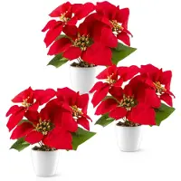 Unyqoos Set van 3 kunstkerststerren met een witte, glanzende keramische pot – gemakkelijk te onderhouden, feestelijke decoratie voor vensterbank en tafel