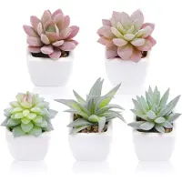 Unyqoos 5-delige set kunstplanten in de vorm van mini-succulenten, in witte keramische potjes – gemakkelijk te onderhouden decoratie van hoogwaardig kunststof, ideaal voor woon- en kantoordecoratie