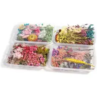 Unyqoos Set van vier dozen met natuurlijke gedroogde bloemen voor creatieve projecten