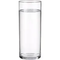 Home & Styling Bloemenvaas - Cilinder vorm - transparant - glas - 19 x 55 cm - rechte cilinder - boeketten - sierrtakken