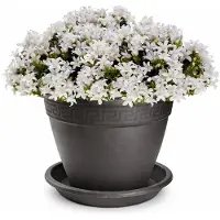 PlasticForte plantenpot met opvang schaal - antraciet - rond - D20 x H15 cm - kunststof - buiten - tuin - bloempot