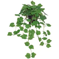 Unyqoos Realistische kunstplant, 60 cm – onderhoudsvrij decoratie voor binnen en buiten, pot diameter 12,5 cm, gemaakt van niet-giftig PE-materiaal, met weelderig bladwerk