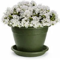 PlasticForte plantenpot met opvang schaal - donkergroen - rond - D20 x H15 cm - kunststof - buiten - tuin - bloempot