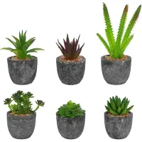 Unyqoos 6-delige set realistische mini-kunstplanten, grijs, gemaakt van PE-kunststof, met pot van papierpulp (4 x 5,6 cm), hoogte 7,5–16,5 cm – gemakkelijk te onderhouden decoratie voor binnen
