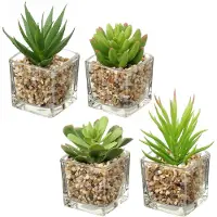 Unyqoos Set van 4 realistische kunstplanten in glas, inclusief decoratiestenen – gemakkelijk te onderhouden decoratie voor tafel en woonruimte, geschikt voor woonkamer, badkamer en kantoor