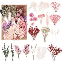 Unyqoos Kleurrijke Gedroogde Bloemen Set voor Creatieve Doe-Het-Zelf Projecten