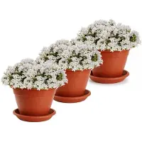 PlasticForte 3x plantenpot met opvang schaal - terracotta - rond - D25 x H19 cm - kunststof - buiten - tuin - bloempot
